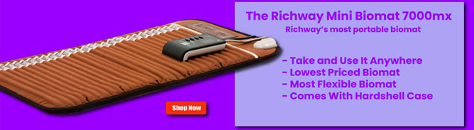 Richway Mini Biomat